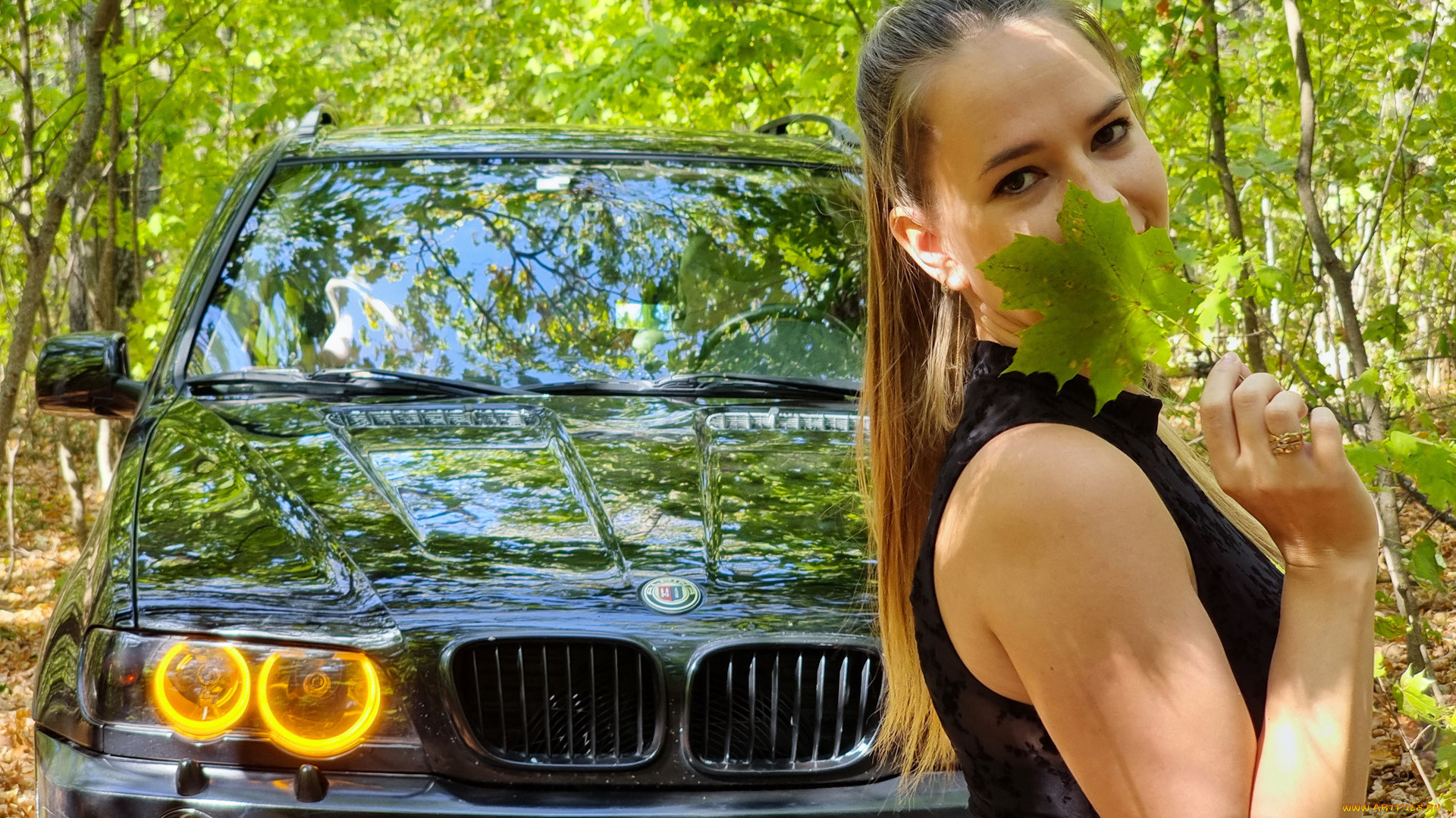 , -  , , , bmw